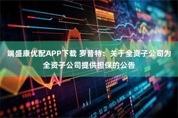 端盛康优配APP下载 罗普特：关于全资子公司为全资子公司提供担保的公告
