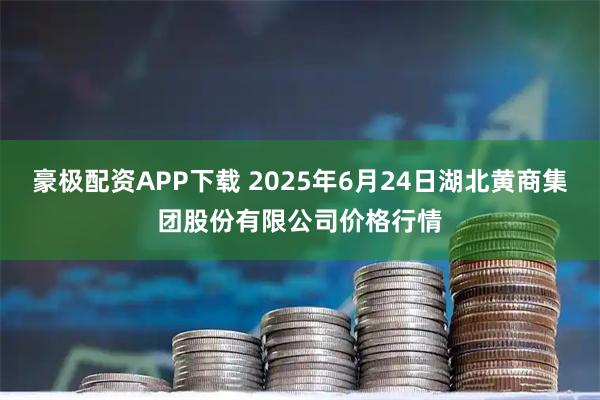 豪极配资APP下载 2025年6月24日湖北黄商集团股份有限公司价格行情